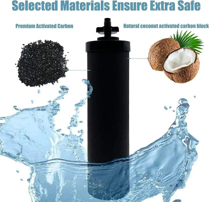 Replacement 2 BB9-2 and 2 Fluoride Water Filter PF-2 Compatible with Black Berkey Gravity Water Filtering System Svirsonfilter